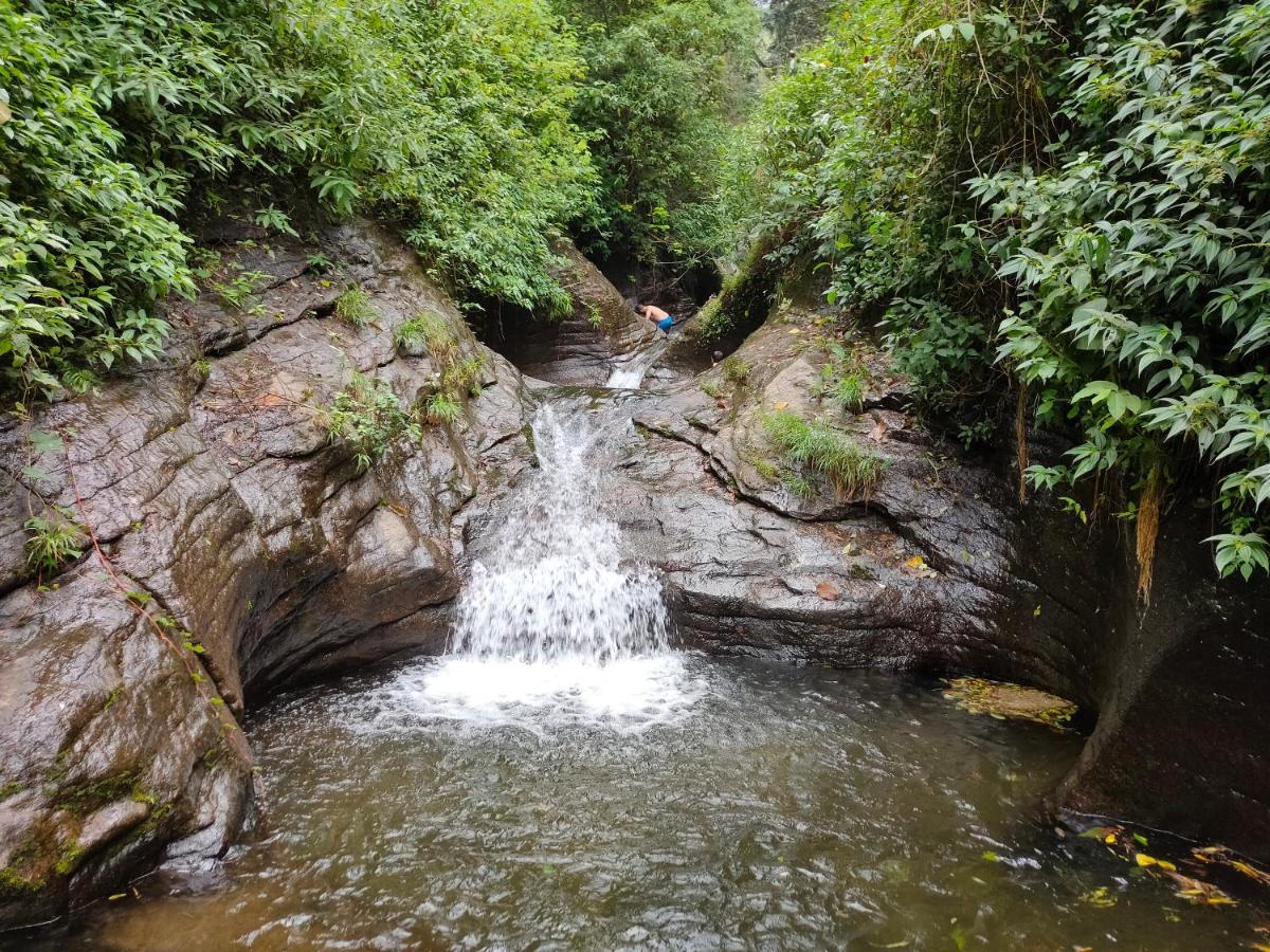 Villoonnickal Homestay Munnar Eksteriør billede