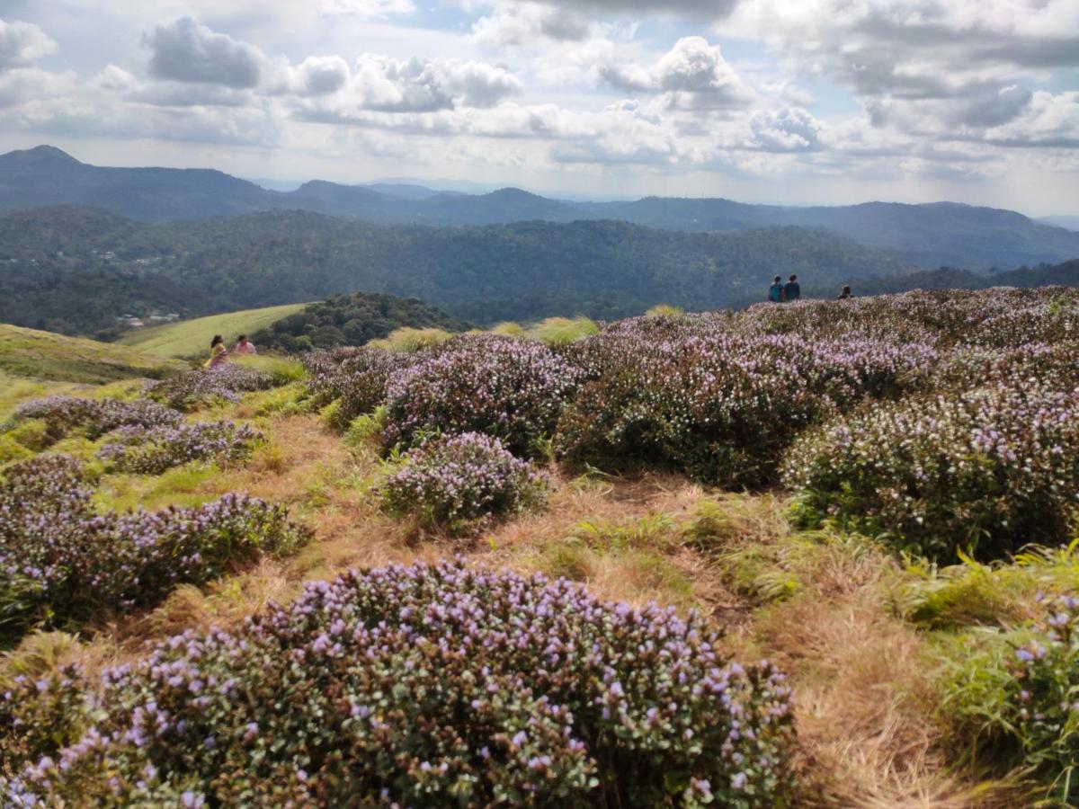 Villoonnickal Homestay Munnar Eksteriør billede